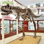 Carnotaurus Skeleton